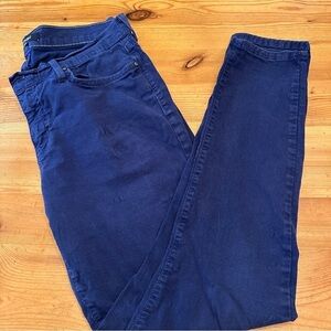 Angry Rabbit Anthropologie made In The USA stretch pants blue size 10/12